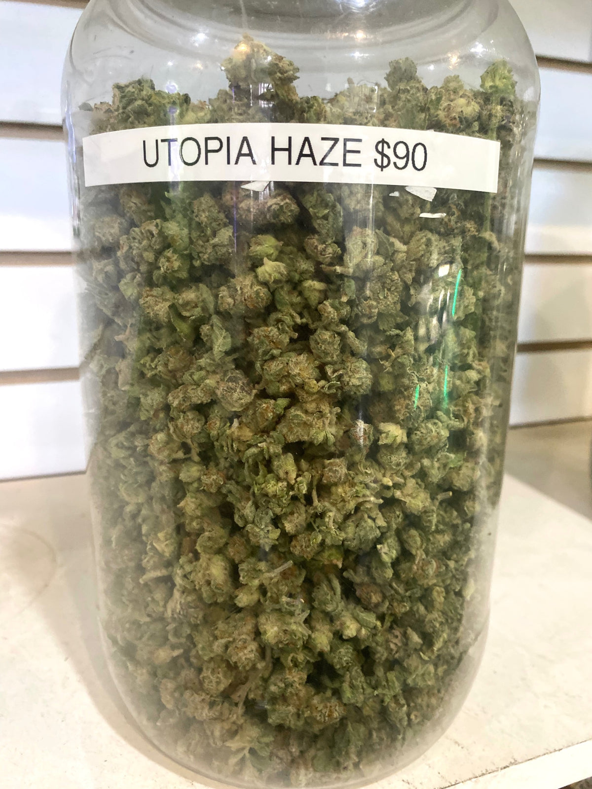 Utopia Haze