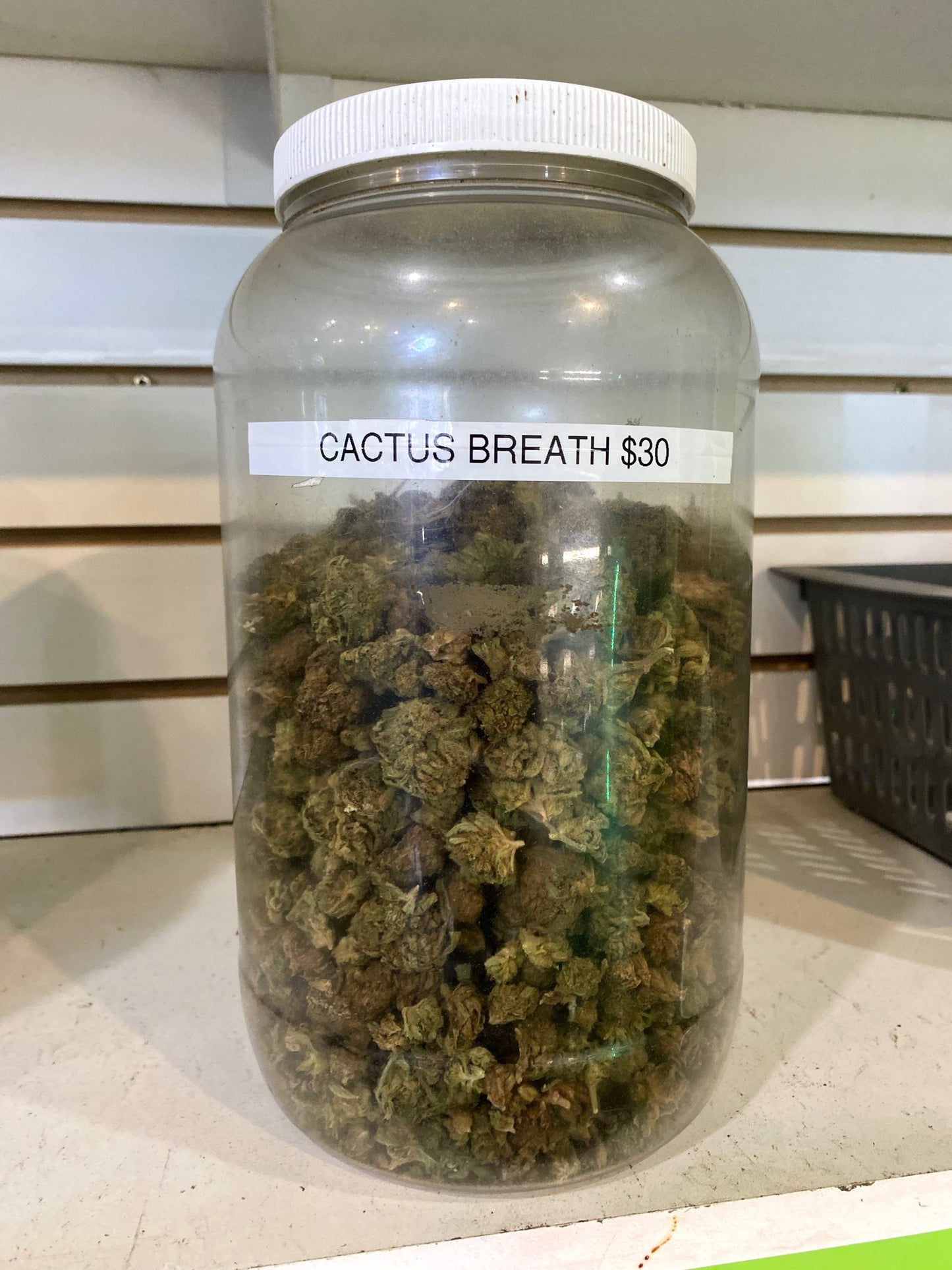Cactus Breath