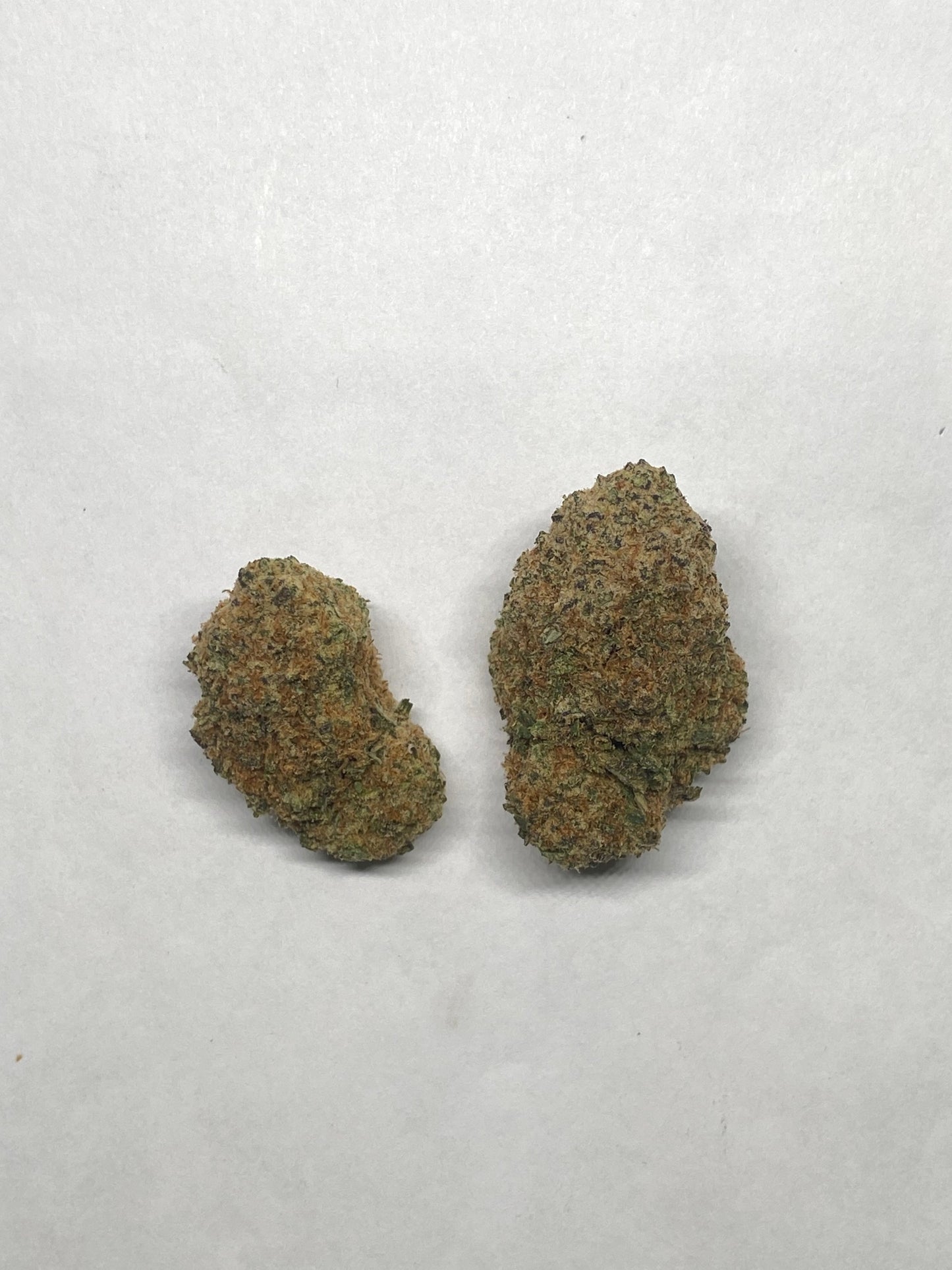 Starbud
