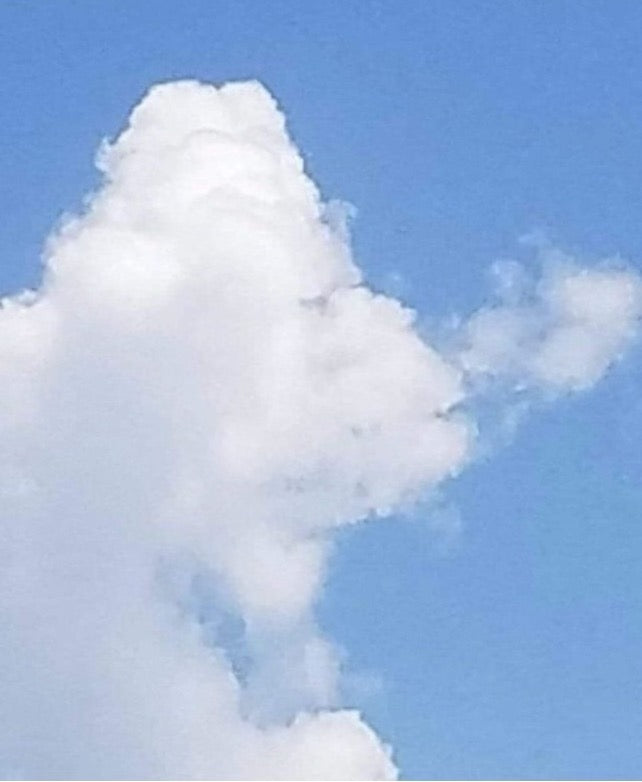 Cloud shaped like a gorilla blowing out smoke