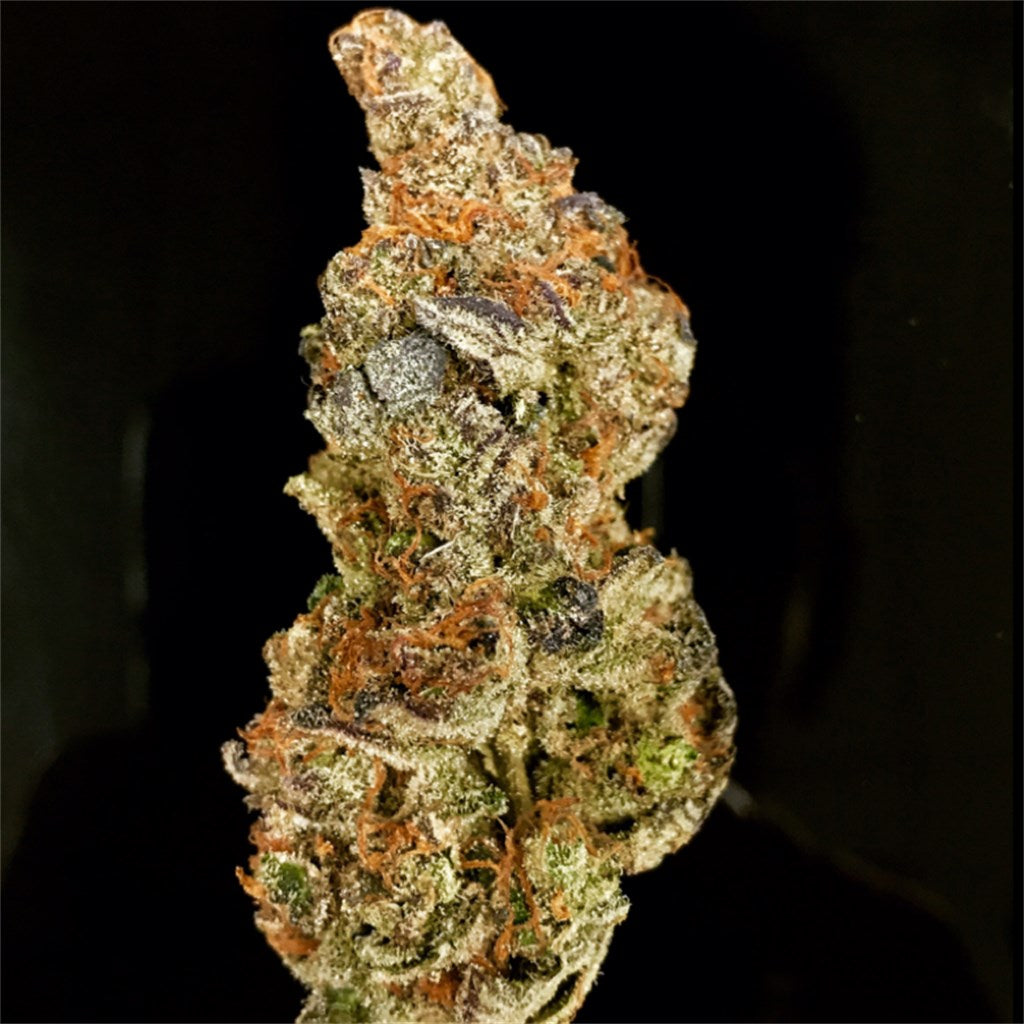 Dosidos
