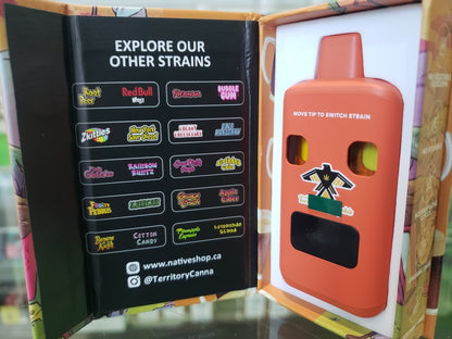 3 in 1 Disposable Vape 4g