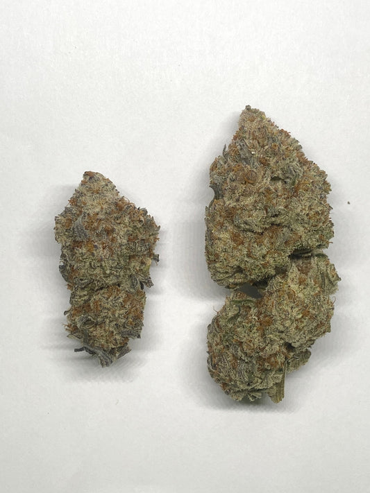 Night Nurse