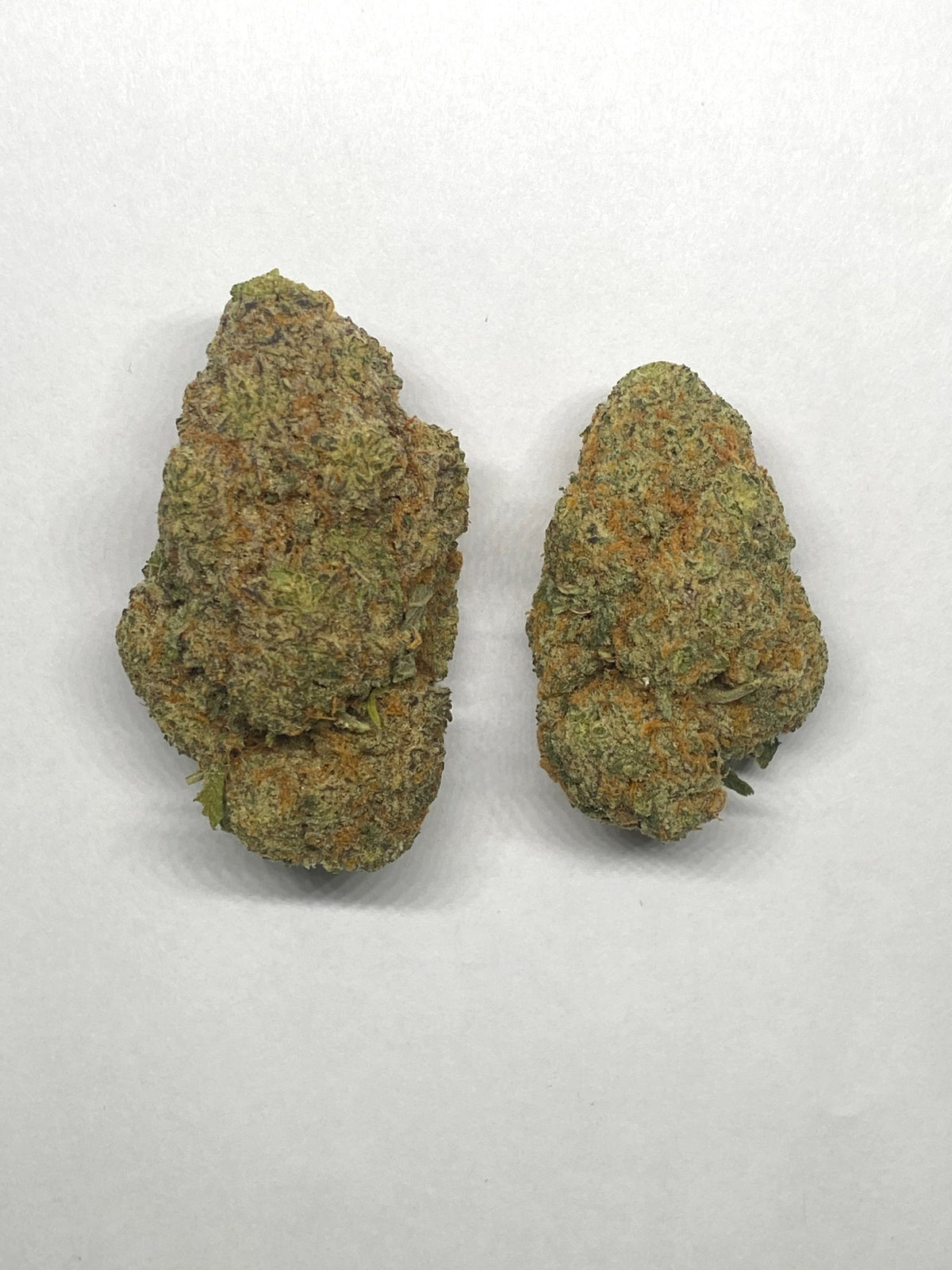 White Shark