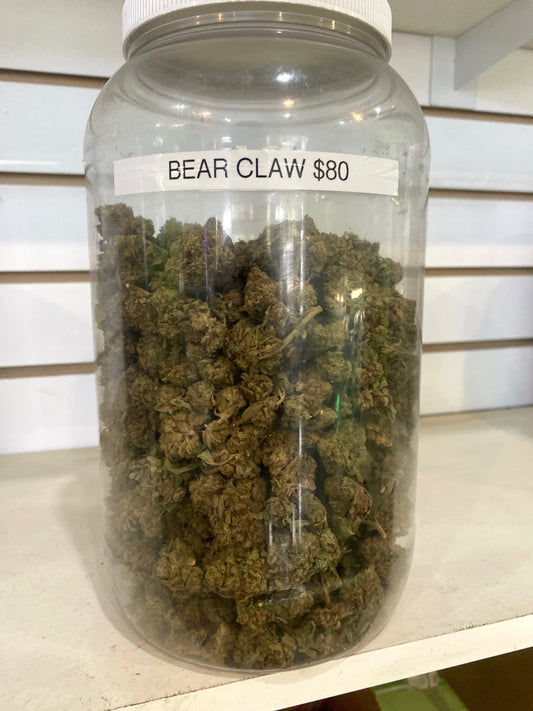 Bear Claw