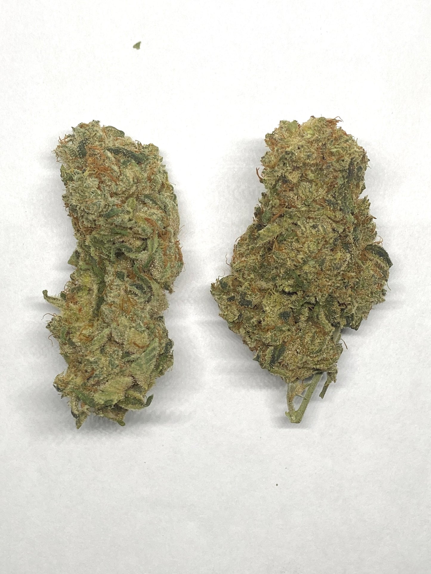 Ice Dawg OG