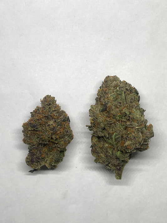Mike Tyson OG