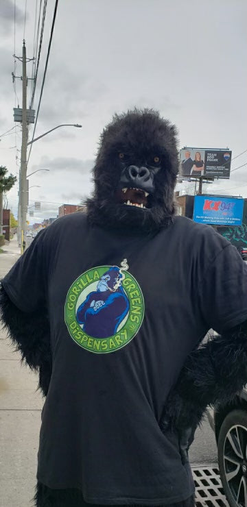 Gorilla Greens Gorilla in T shirt standing